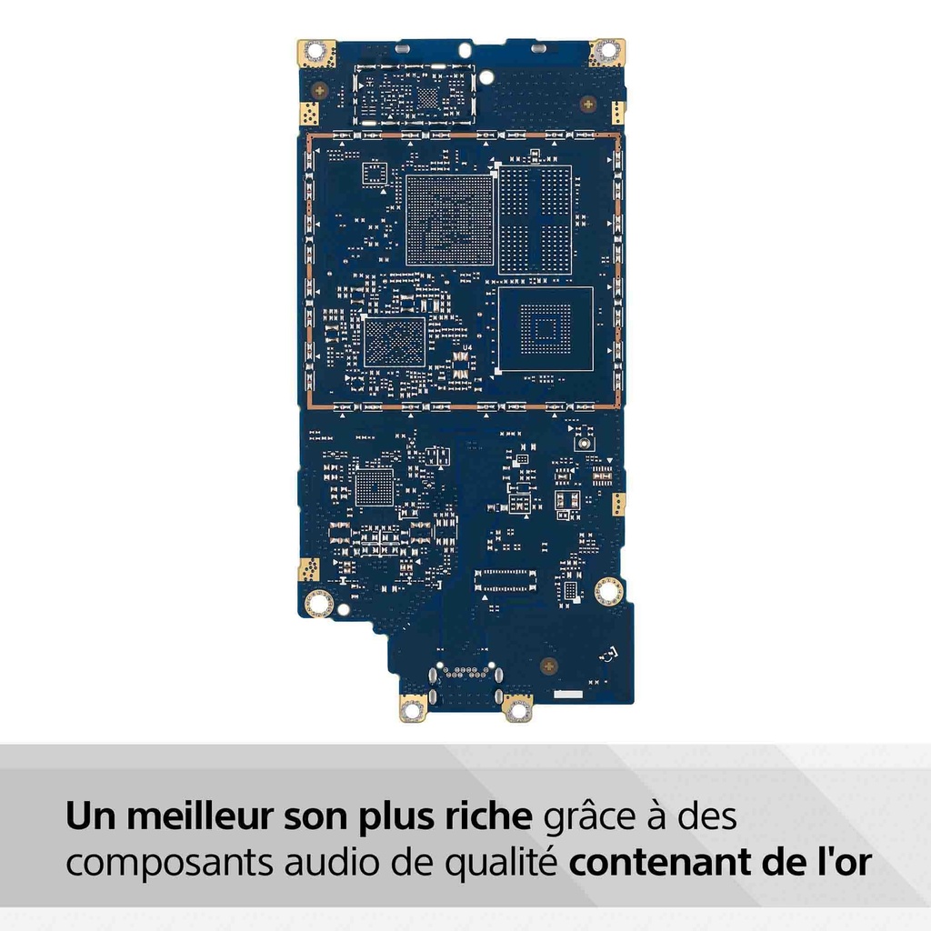Sony NW-A306 Bleu