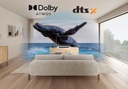 Sony HT-S2000 Barre son Dolby Atmos®/DTS:X® 3.1 canaux