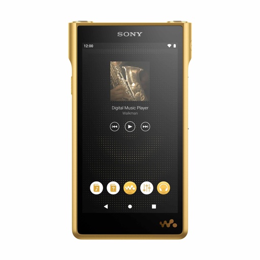 [NWWM1ZM2.CEW] Sony NW-WM1ZM2